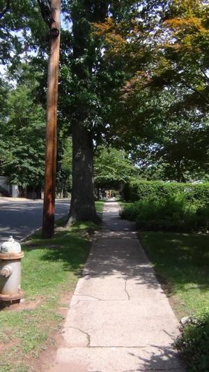 Sidewalked borders and edges