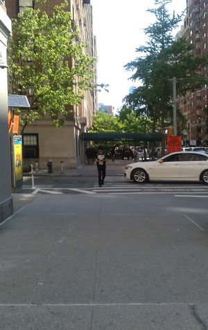 My friend, Sameer, walking down a street of New York with a callery pear and ginkgo tree planted on the sidewalk