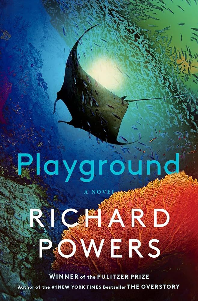Playground cover