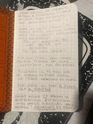 A challenge, a bit wild