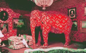 elephant
